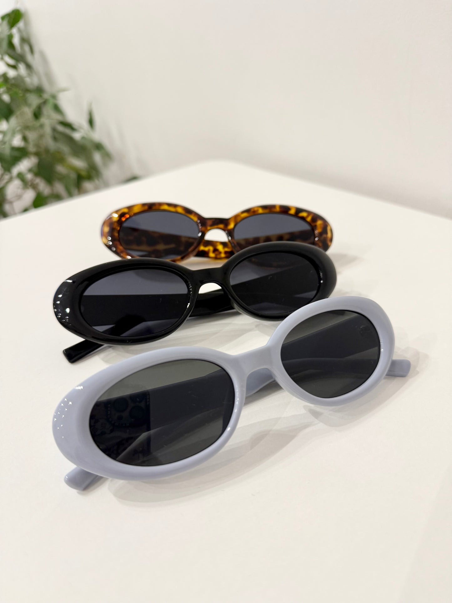 SWIPE Oval sunnies