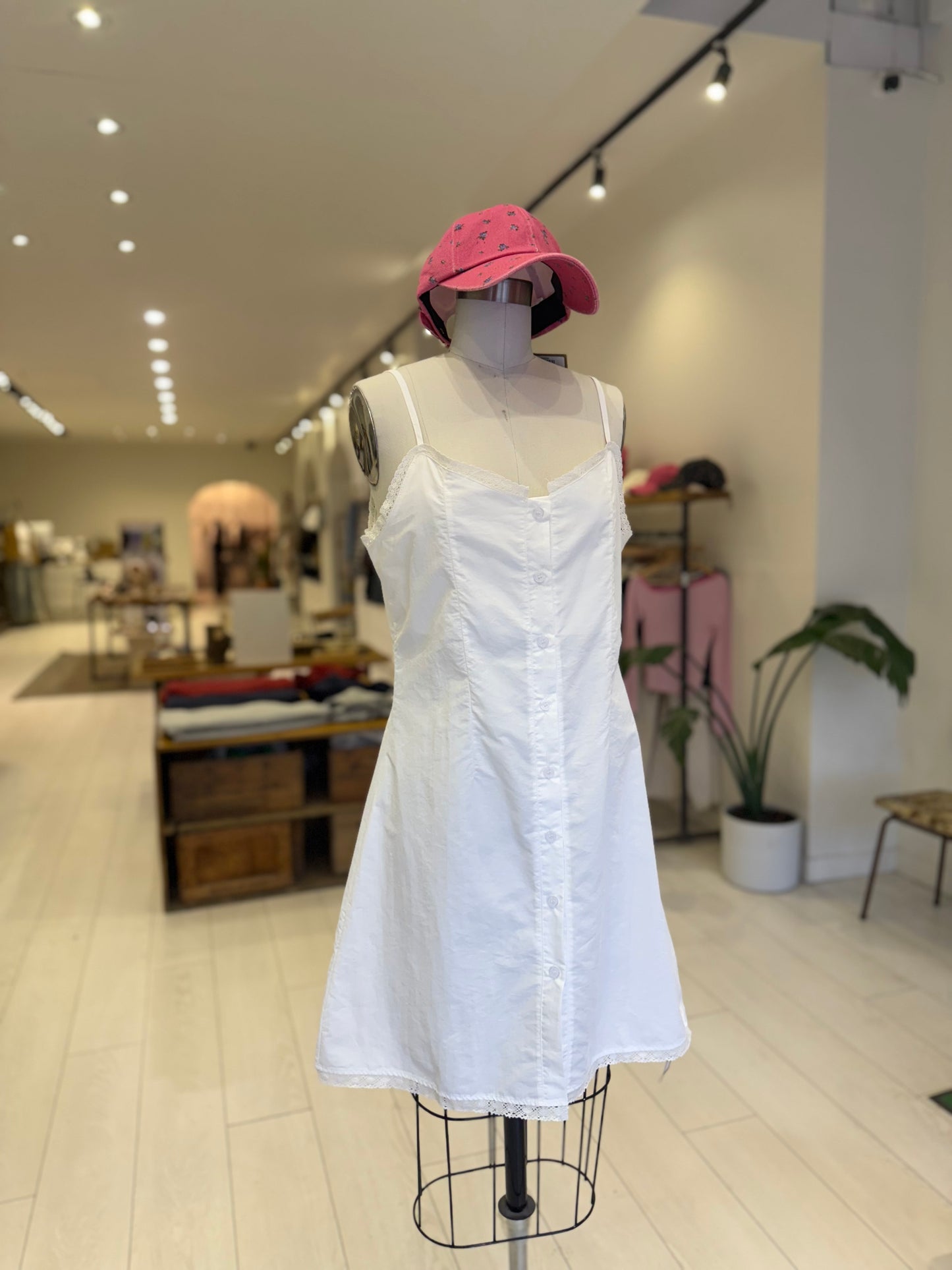 TASHA Lace button up dress