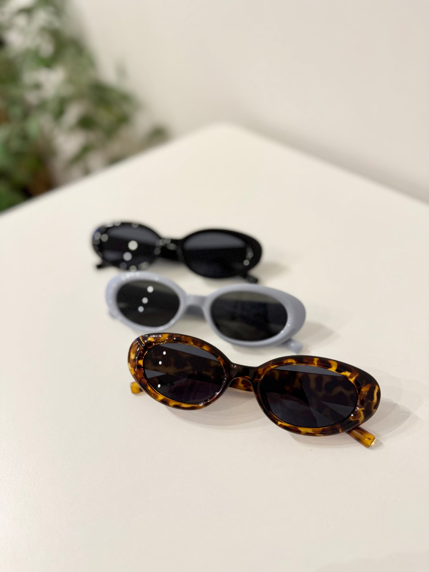 SWIPE Oval sunnies