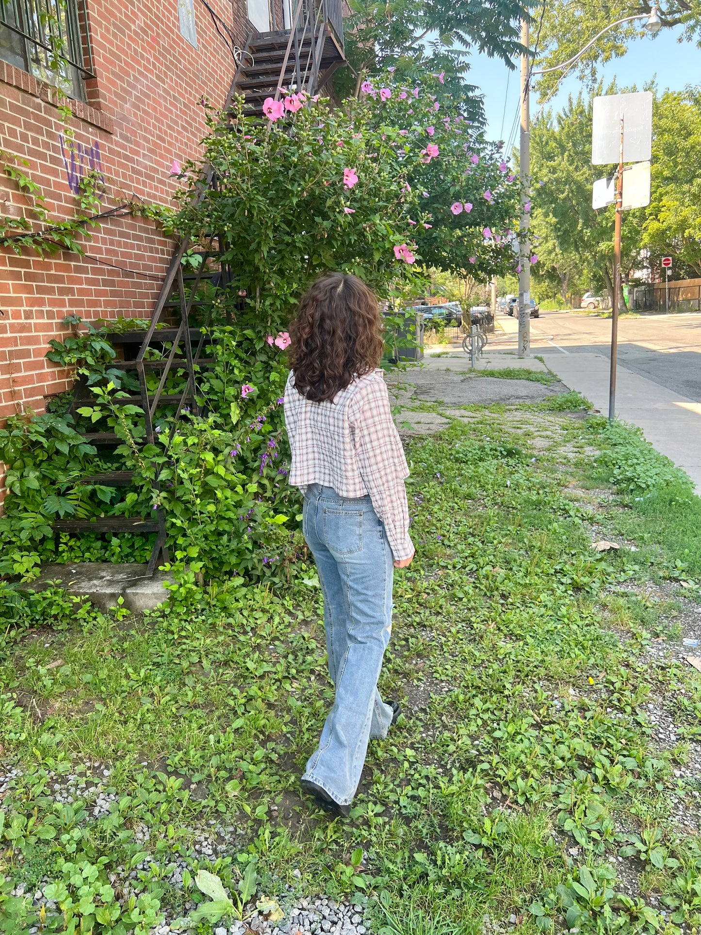 TRAIN Bootcut jeans