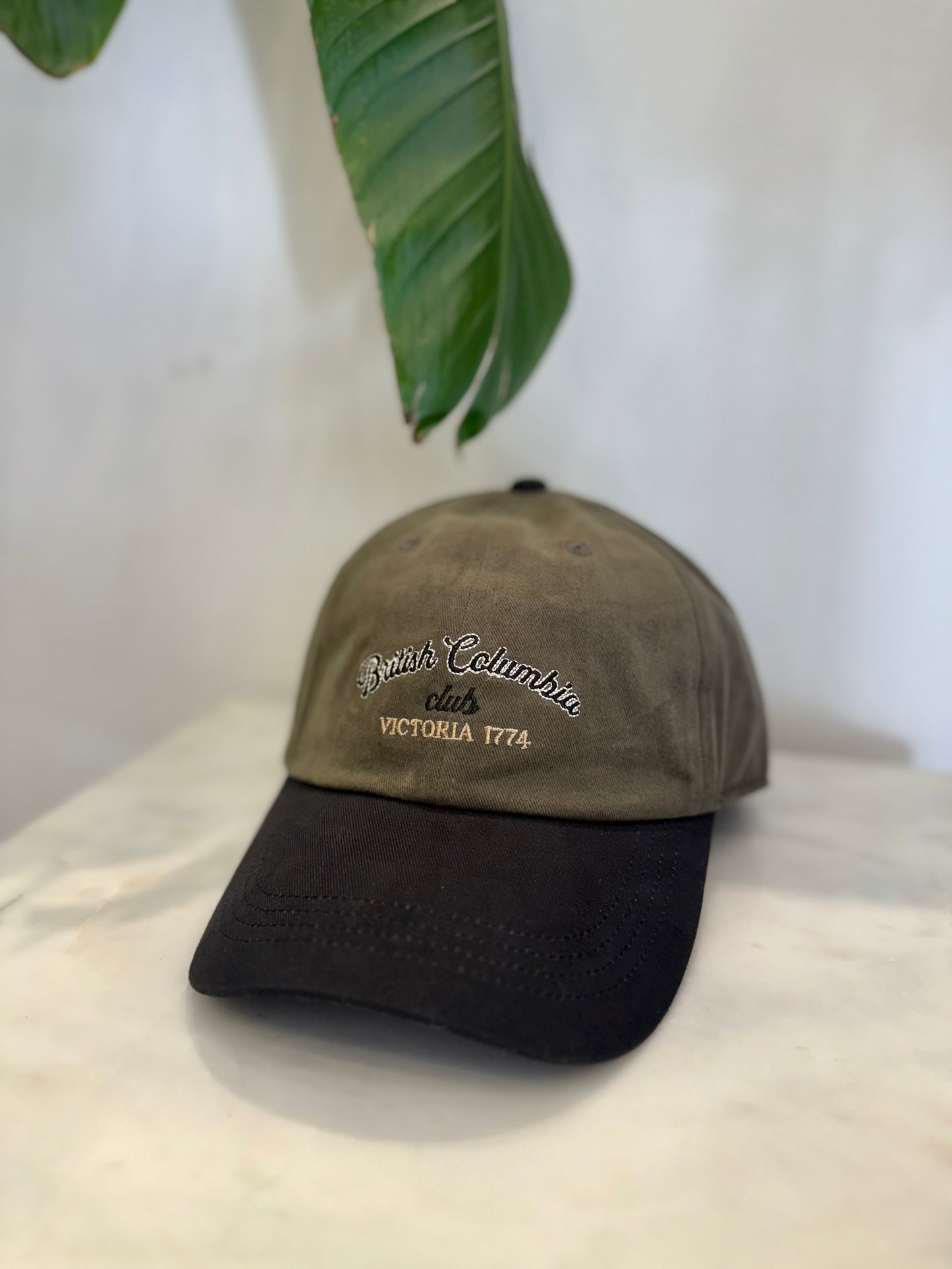 BC Two-tone ball cap