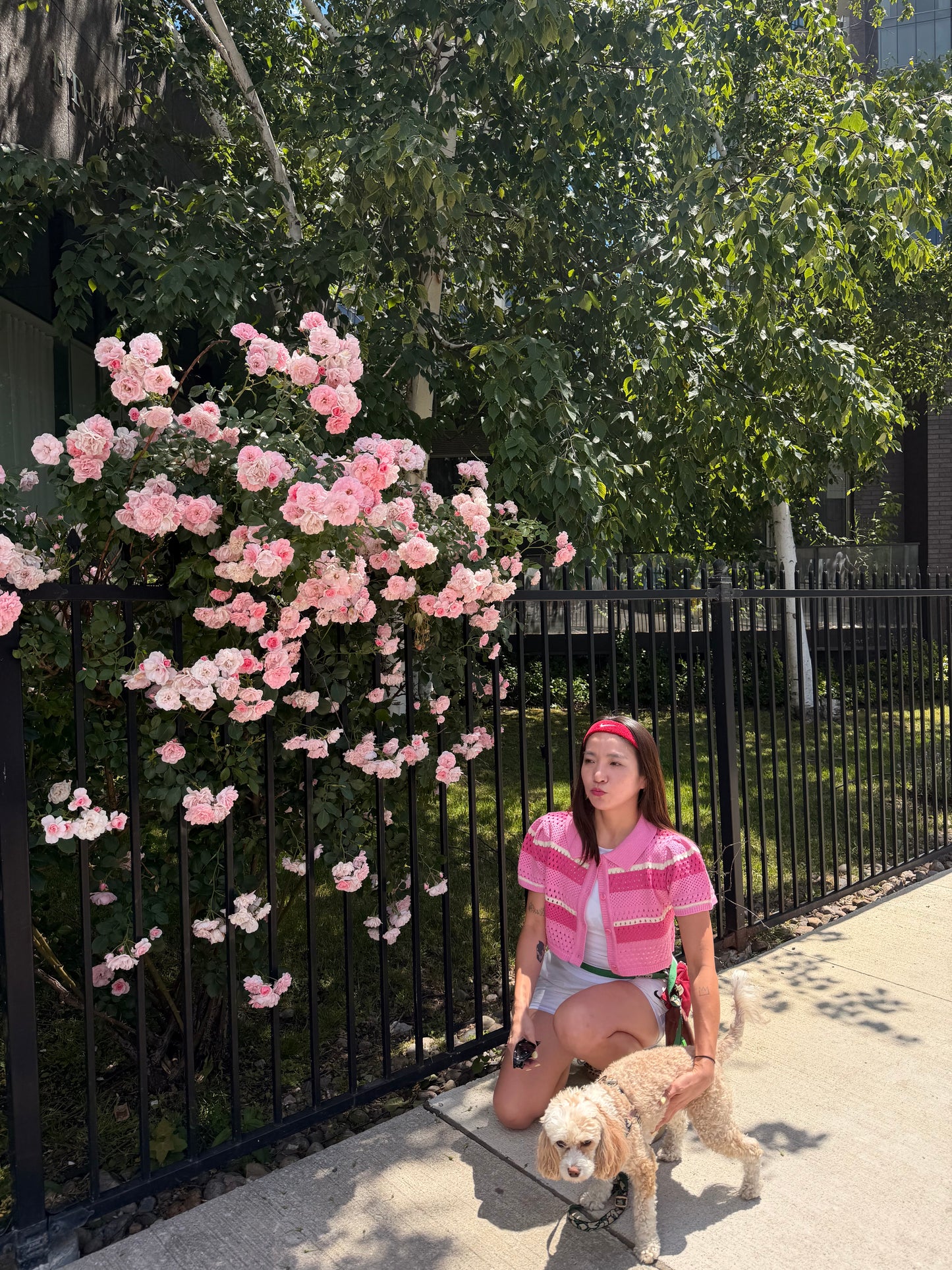 PIPPA Crochet candy-stripe polo