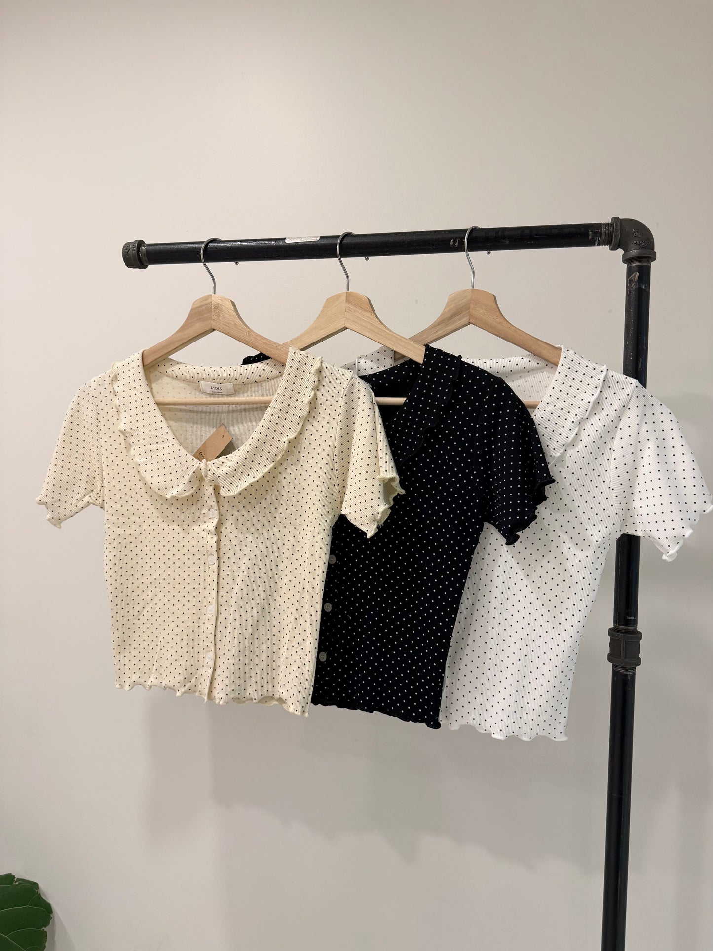 BLUSH Polkadot collar top