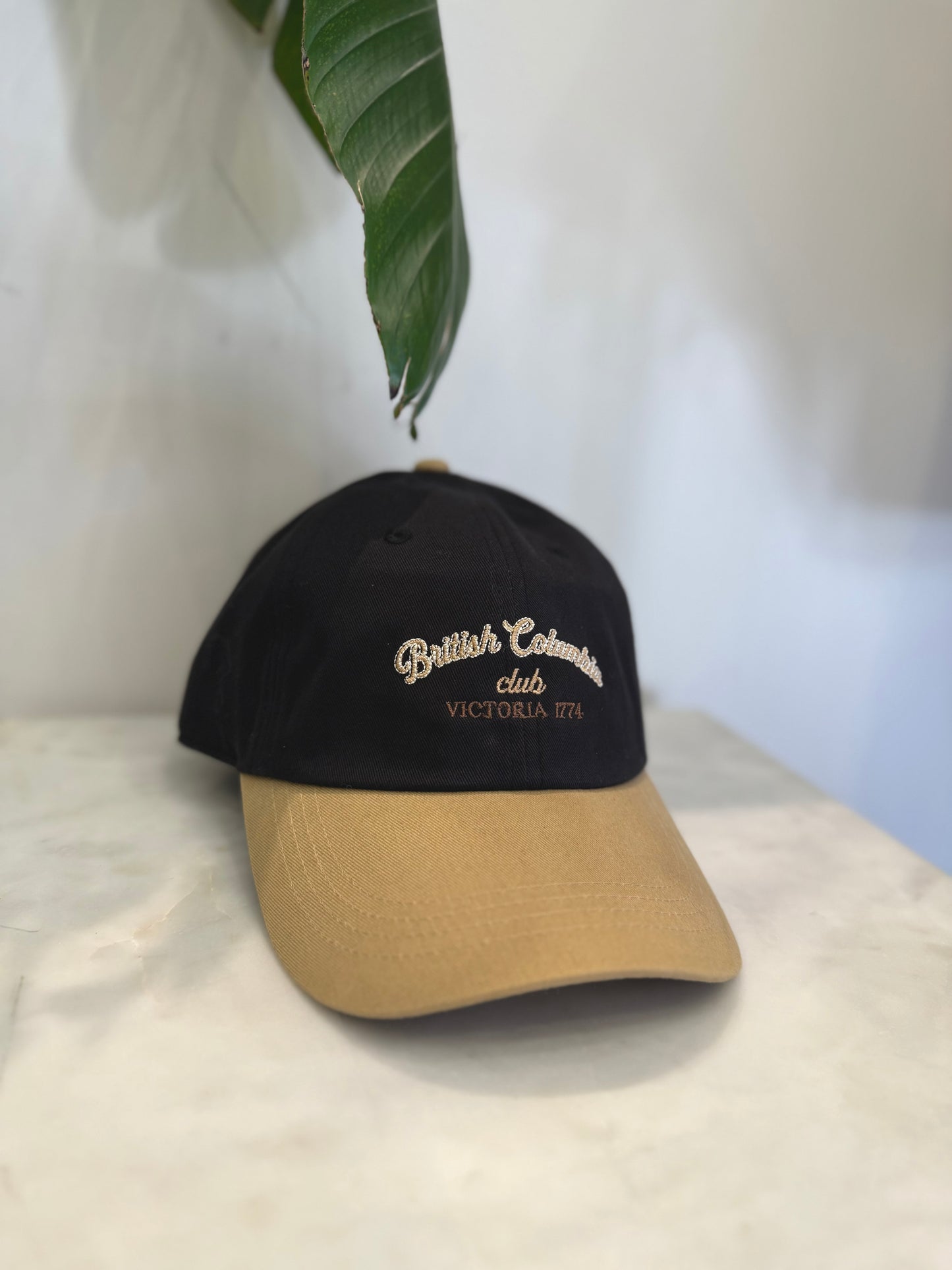 BC Two-tone ball cap