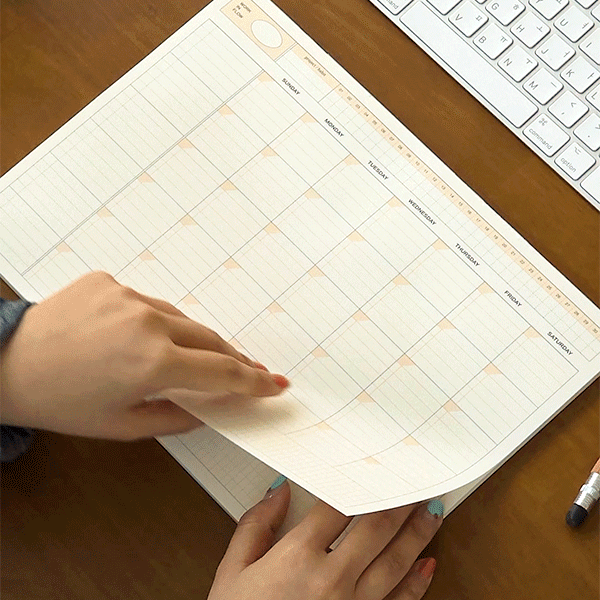 IONA A4 planner pad