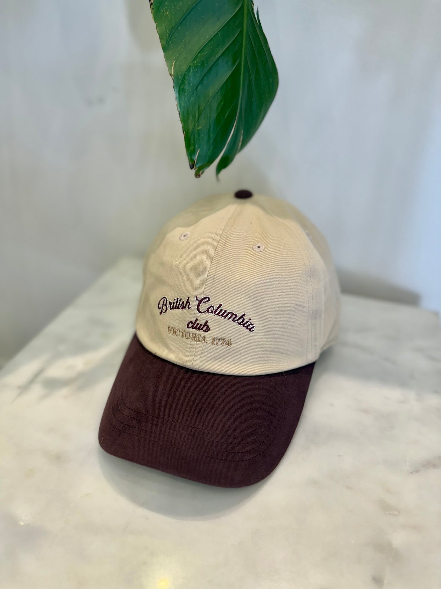 BC Two-tone ball cap