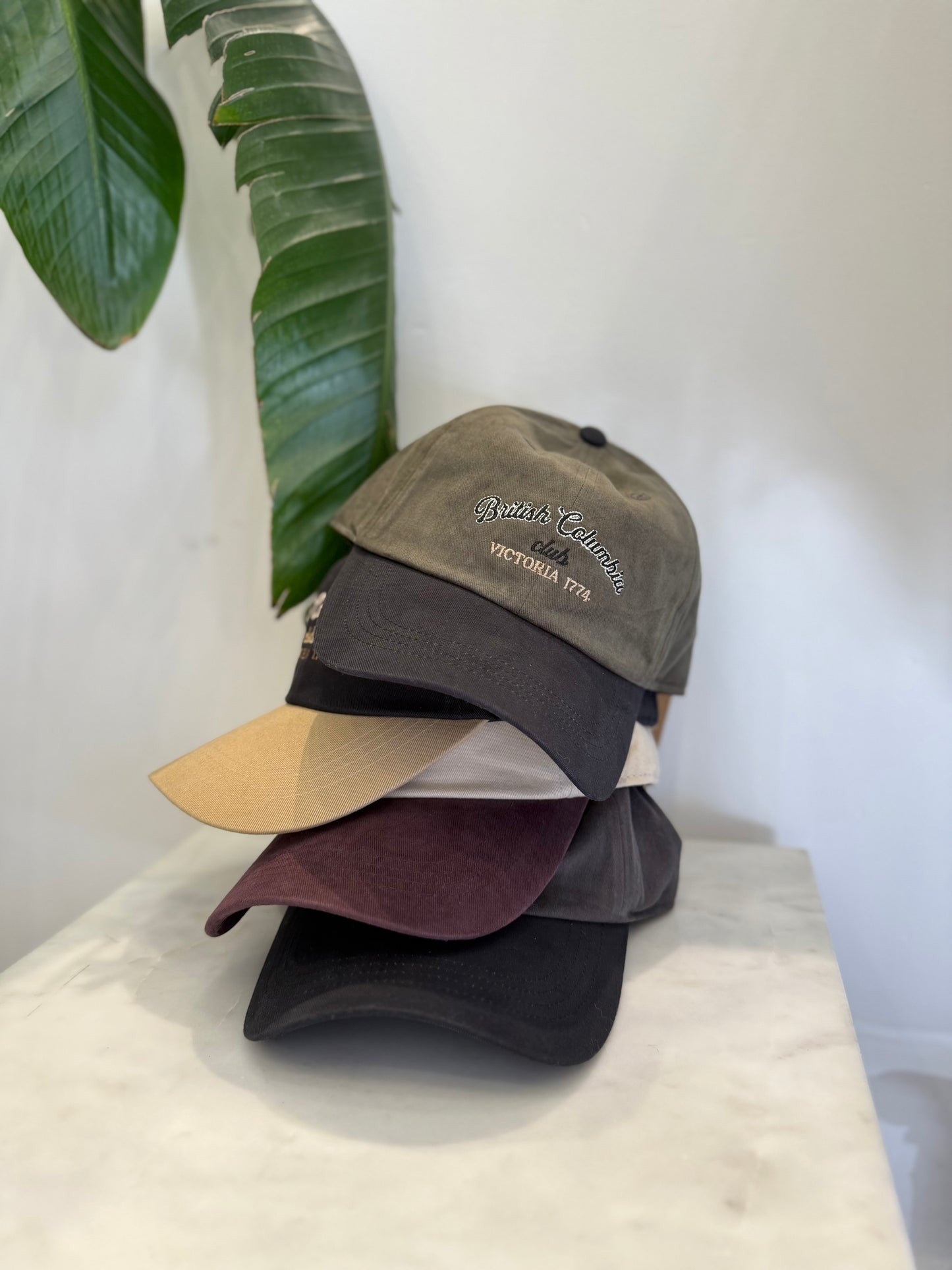 BC Two-tone ball cap