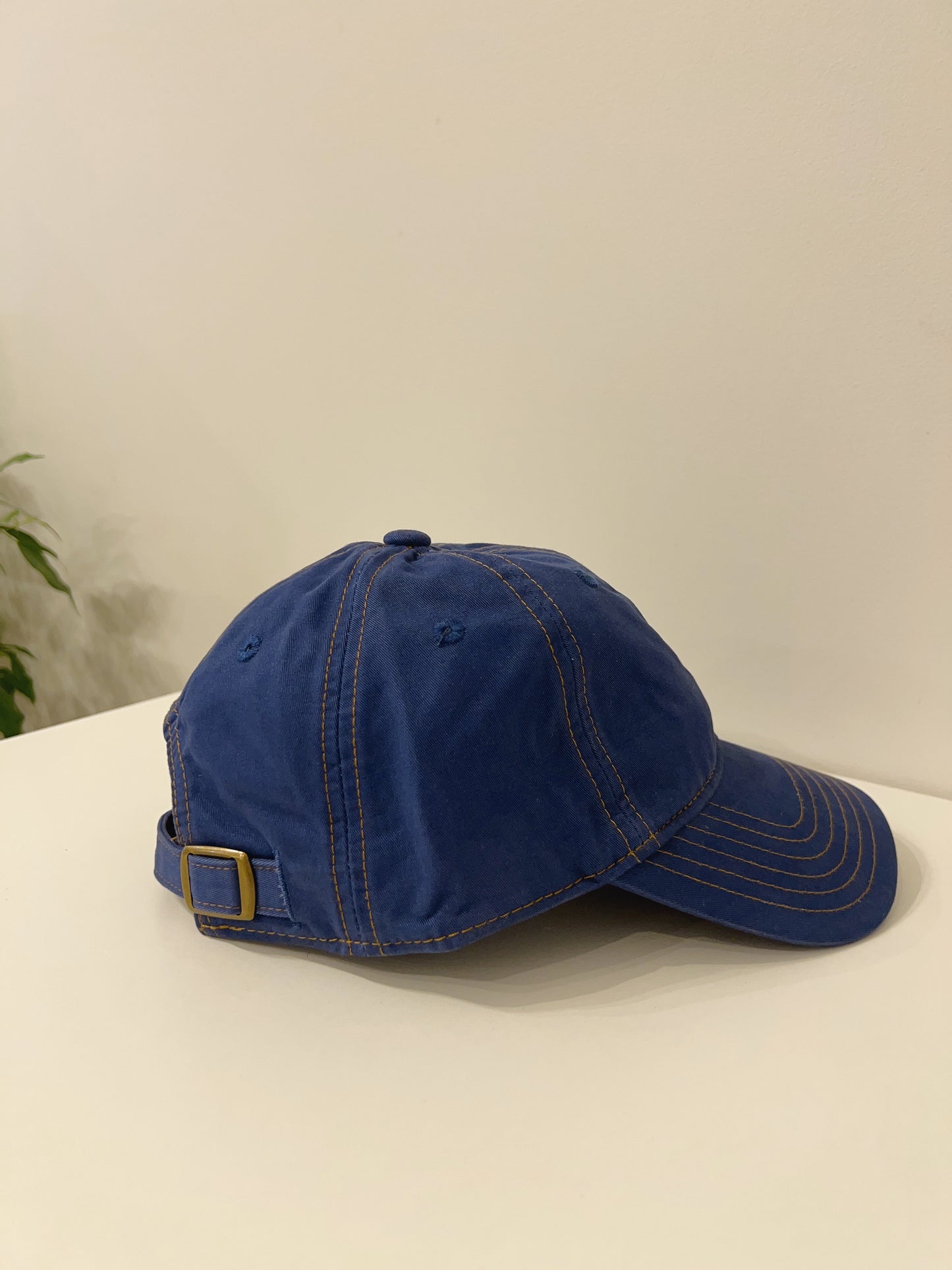 TANG Stitch ball cap