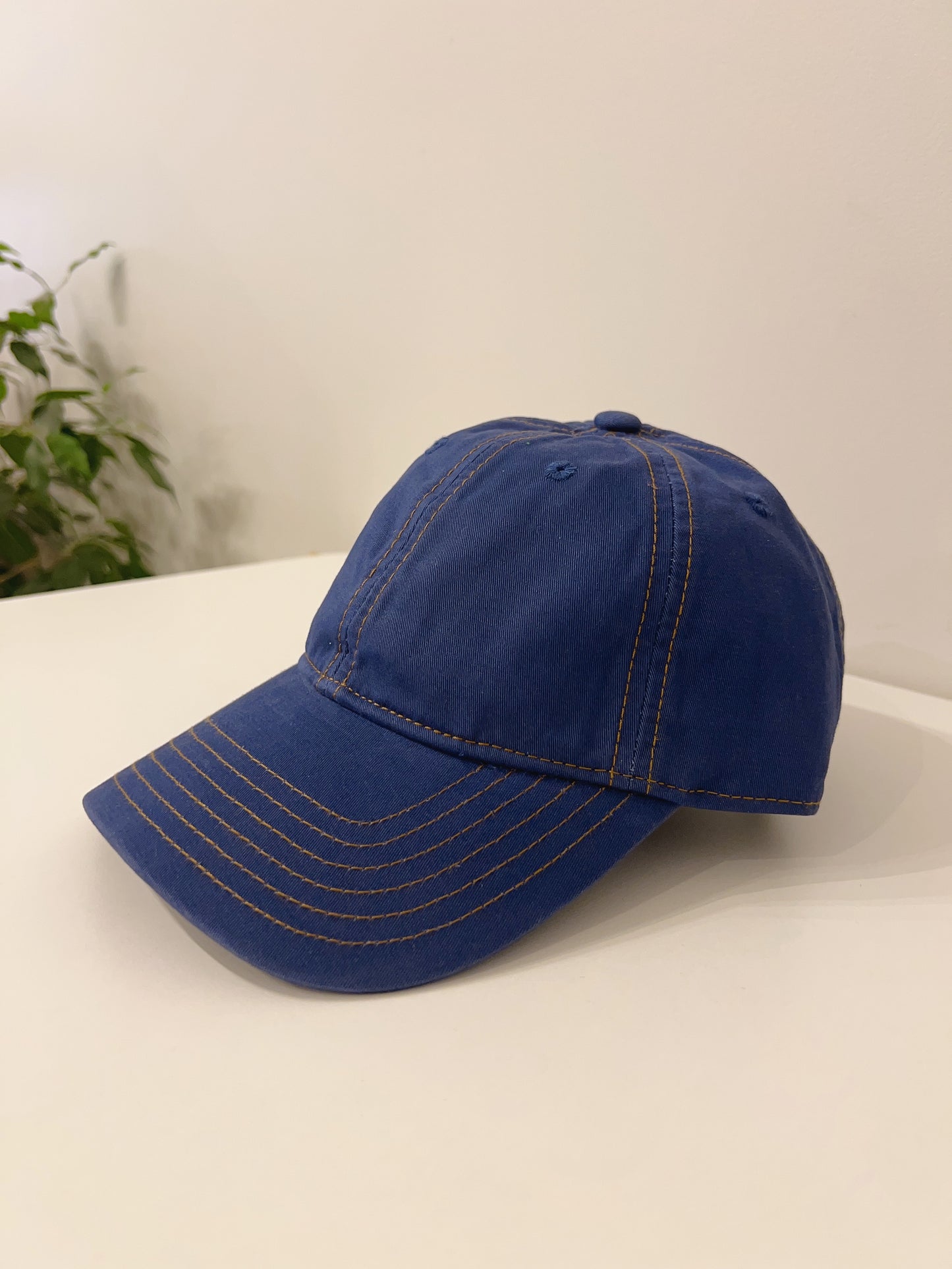 TANG Stitch ball cap